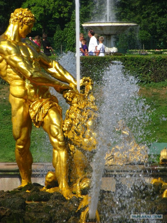 СПб глазами уставшего туриста...