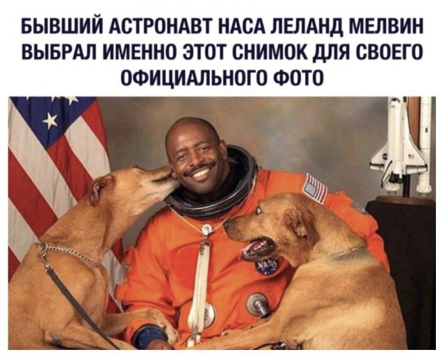 Картинки и мемы для настроения - 111