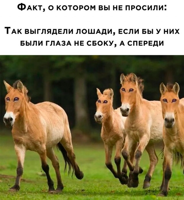 Картинки и мемы. Выходные близко...