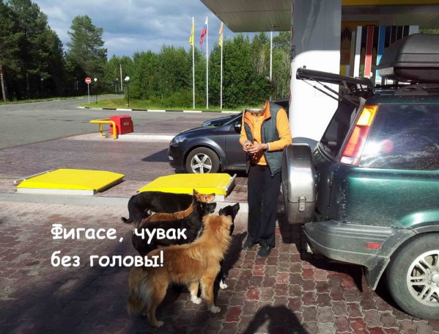 Помогли не уснуть за рулем!