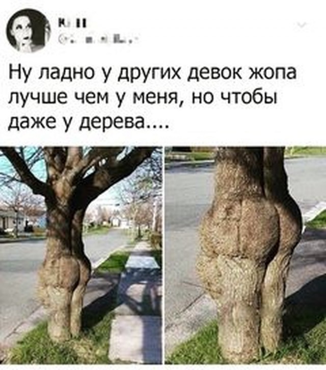 Немного картинок для настроения - 137