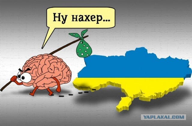 Американский независимый журналист взял интервью у детей, живущих неподалеку от ЗАЭС в Запорожской области