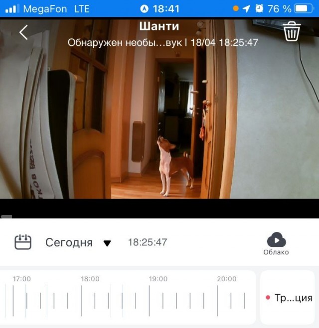 А я думал, все уже ушли...
