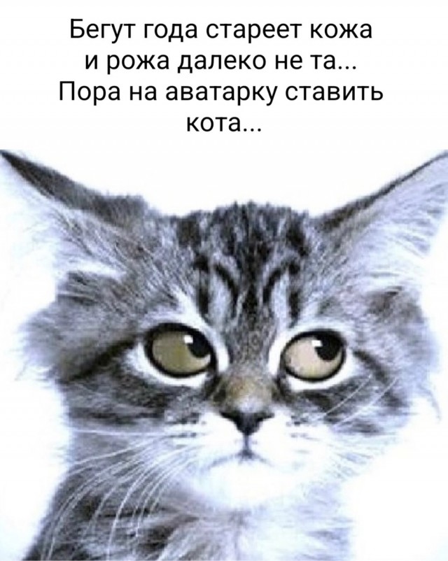 Так себе картинки 21.05.23