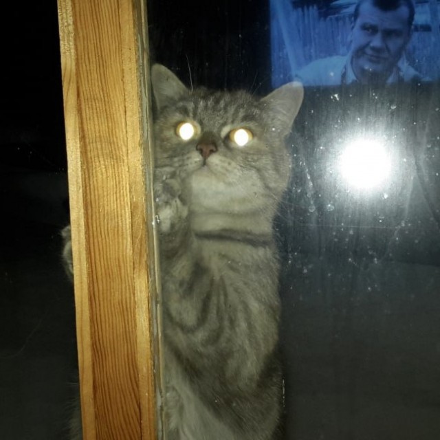 Ебом токнуло!