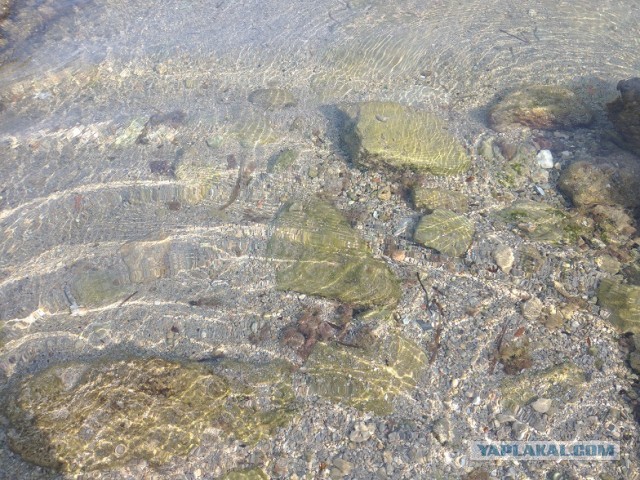 Немного отдыхательских фотокарточек на понедельник