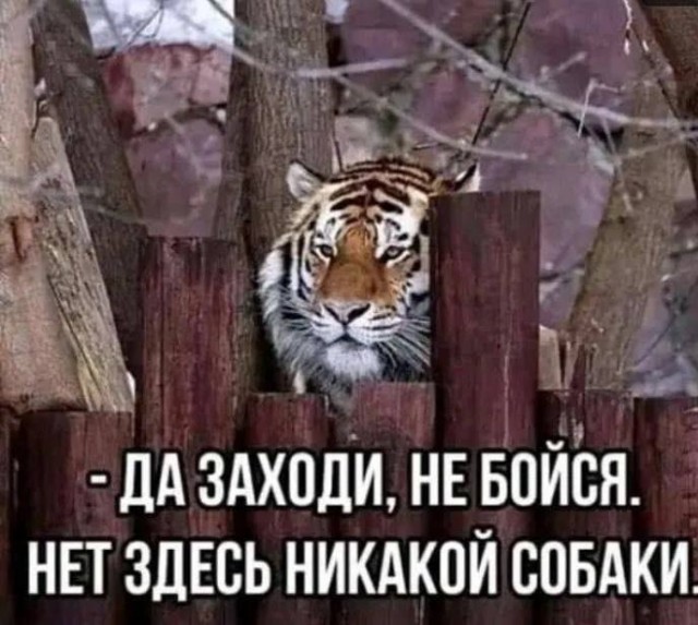 Немного картинок разной степени новизны и адекватности