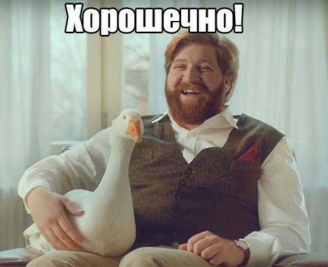 Дополнение к посту про гусей. Не зашло мне то, что написала в телефоне, решила развернуть тему