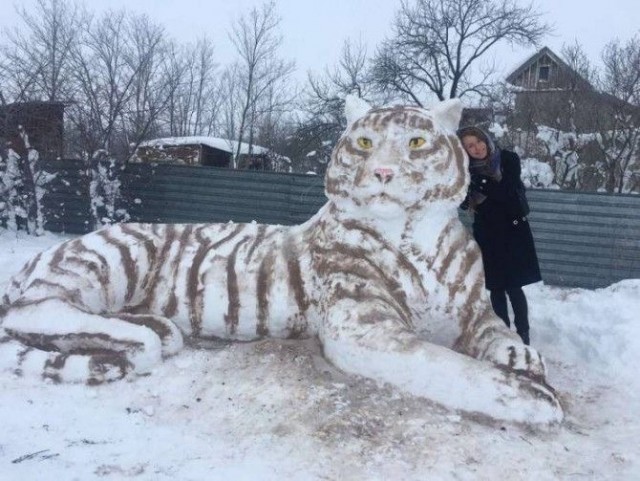Котики из снега и котики на снегу