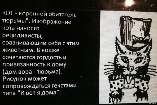 Криминальное прошлое кота Матроскина