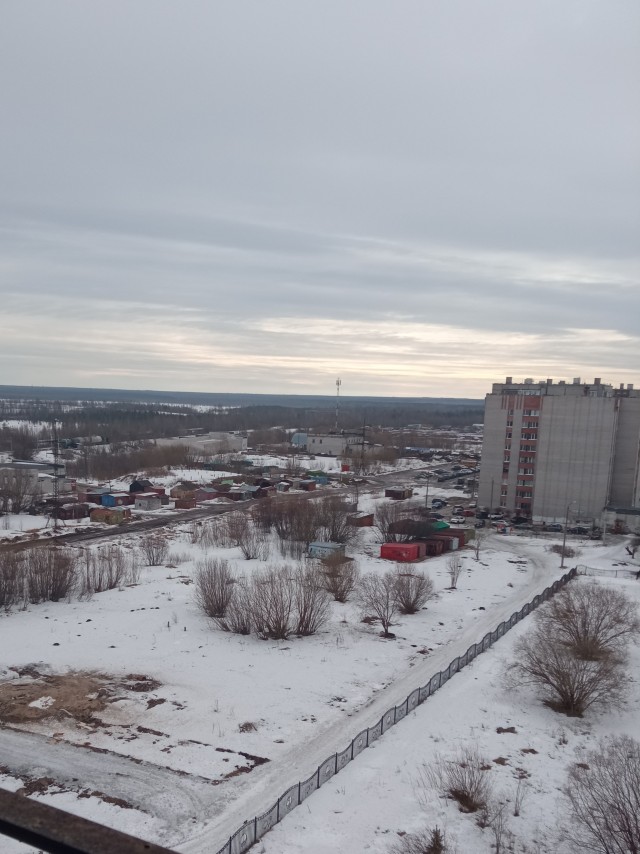 Сегодняшнее фото без затей