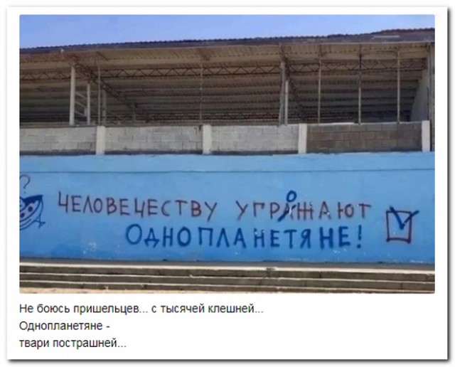 Забавные комментарии из социальных сетей (28.05.24)