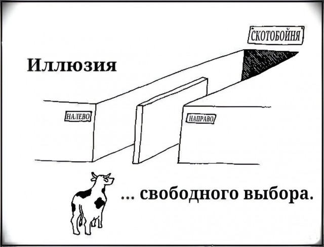 Так себе картинки 04.06.24