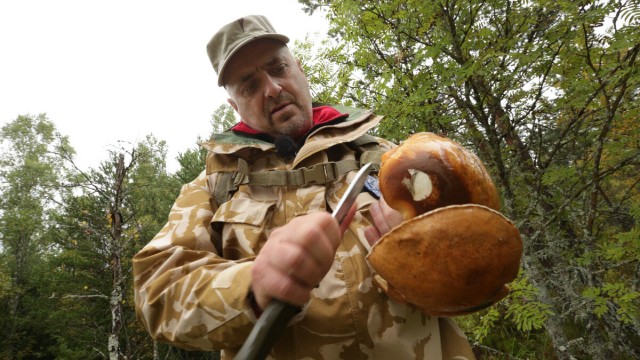 Острова полураспада. Как целый архипелаг на Ладоге стал радиоактивным