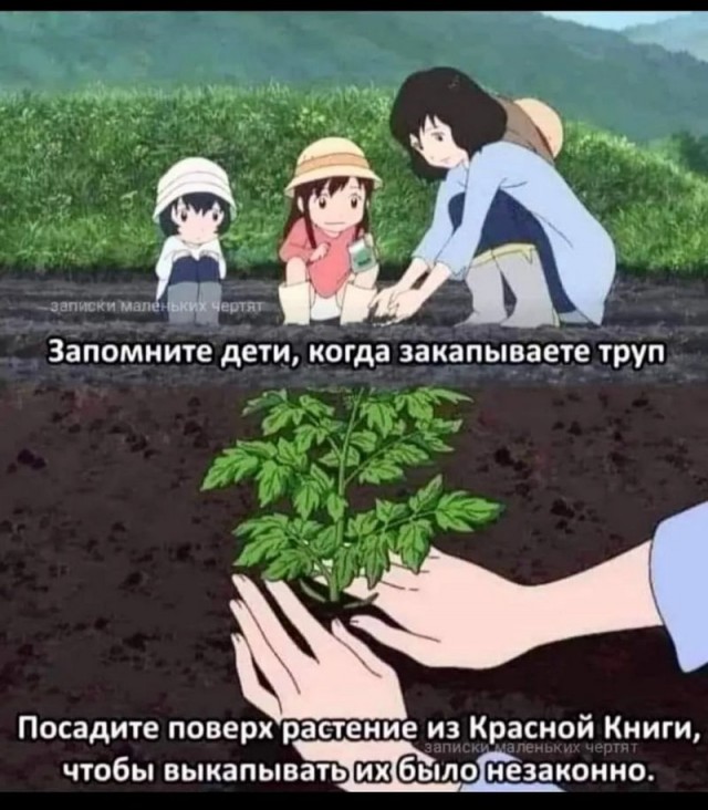Завалялось тут случайно немного забавных картинок