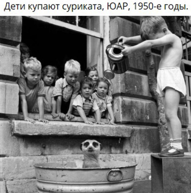 Редкие кадры и архивные снимки 02.10.24