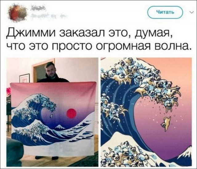 Прикольные и просто красивые картинки 08.10.2024