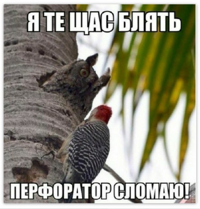 Подъём!