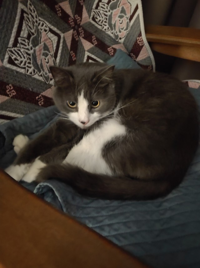 Пошёл за пивом.