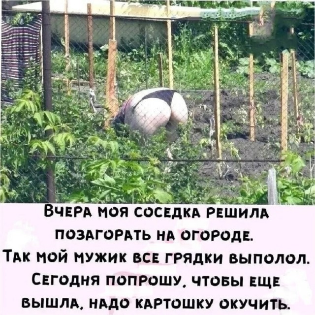 Так себе картинки 04.07.25