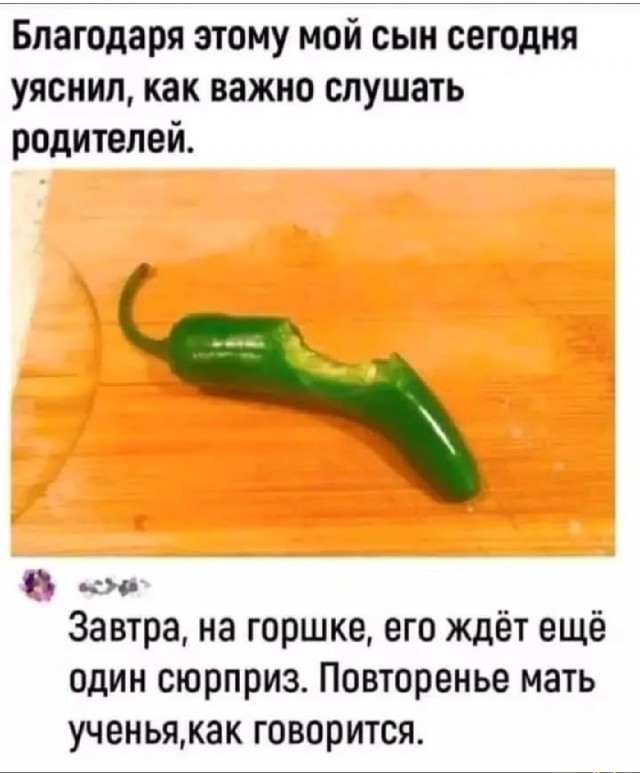 20259527.jpg