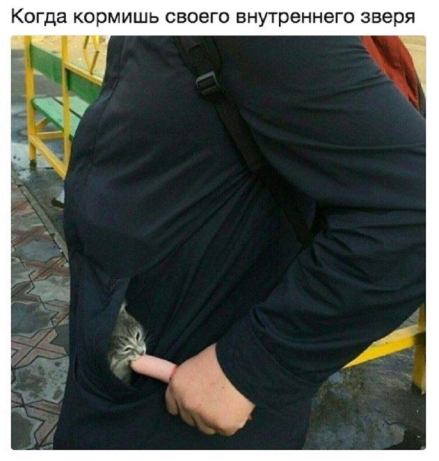 Так себе картинки 06.10.25