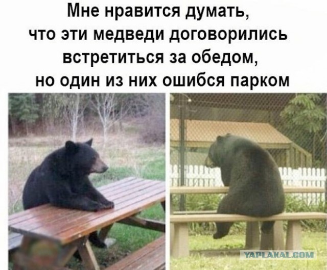 Разной свежести картинки
