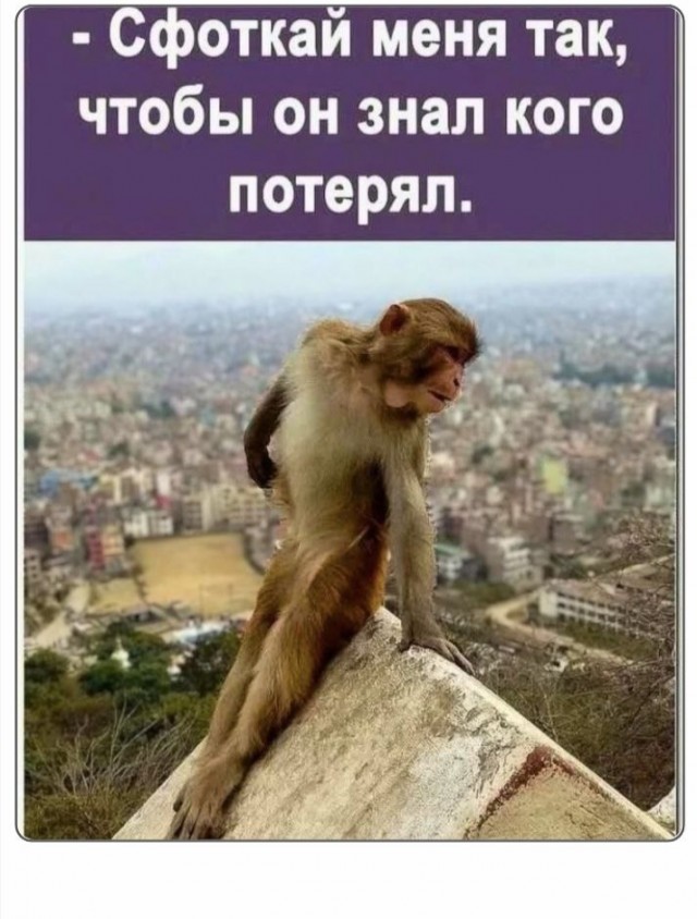 Субботние картинки