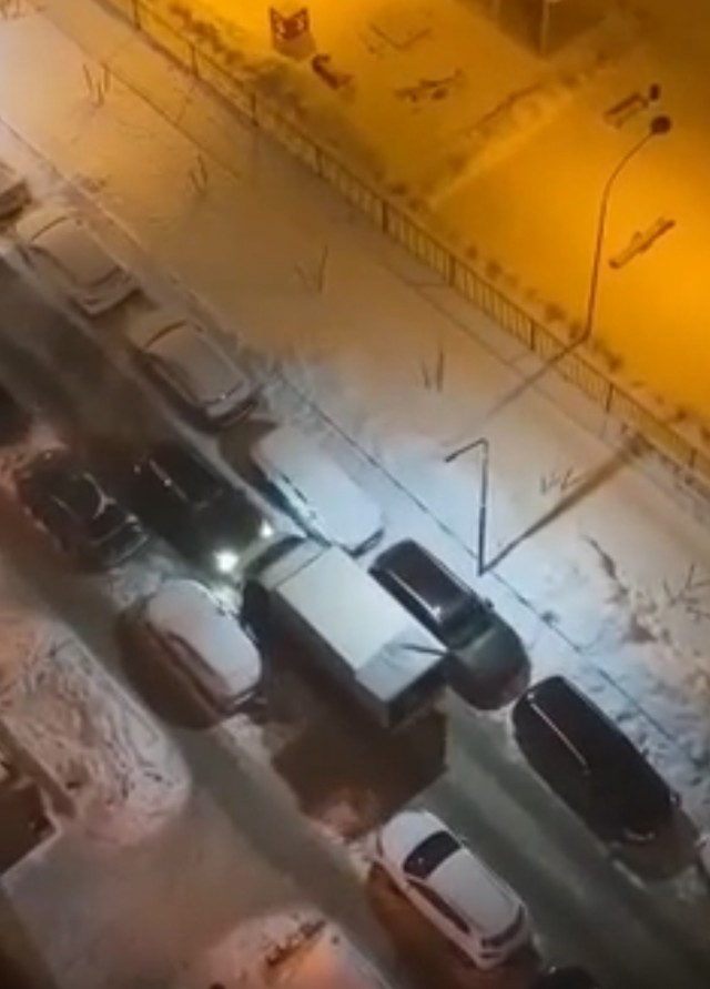 Газель посреди двора. Кто прав?