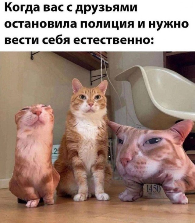 Субботние картинки
