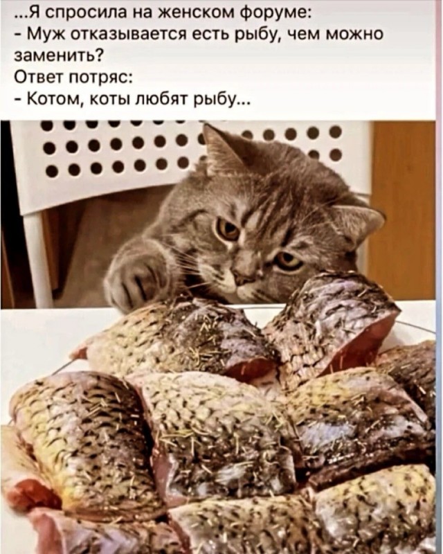 Прикольные и просто красивые картинки 13.03.2026
