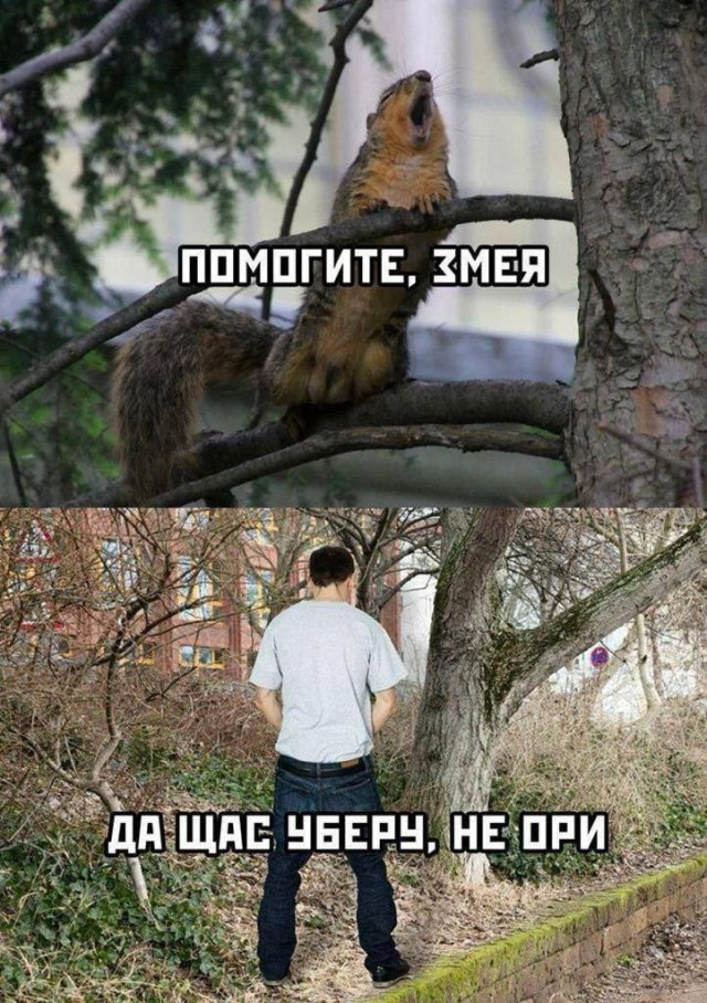 Забавные картинки, шутки из этих ваших интернетов