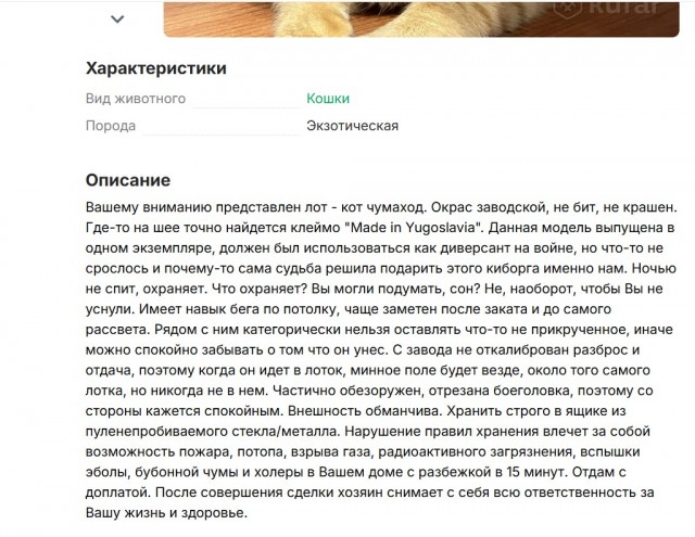 Продаётся кот. 180 000 руб. Налетай!