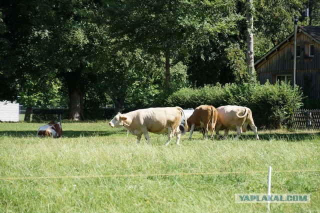Поездка в Швейцарию