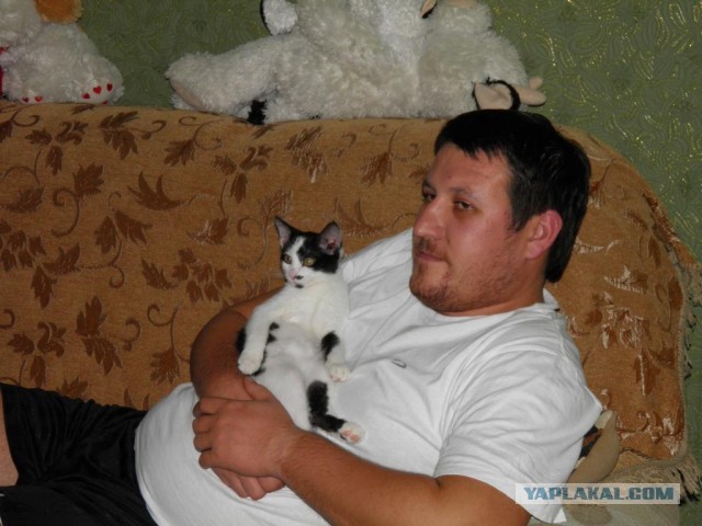 Котовторник   27.08.2013