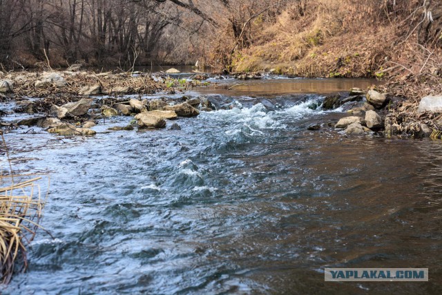 Красота природы не зависит от....