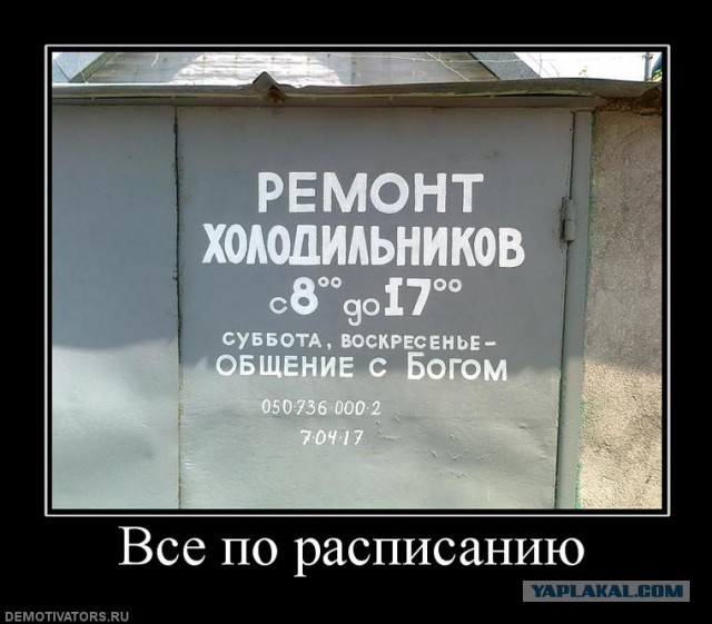 Маразмы месяца