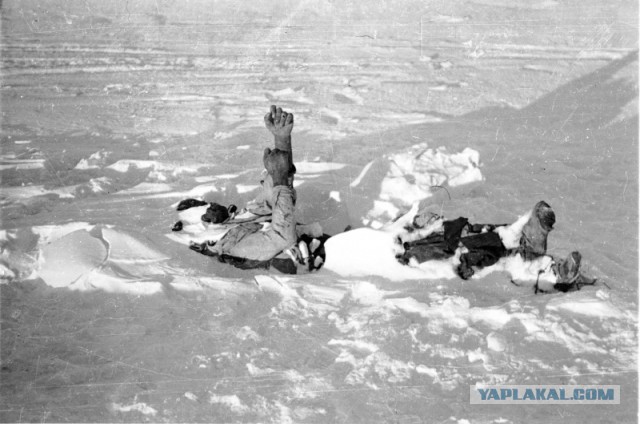 Несколько фотографий Великой Отечественной Войны