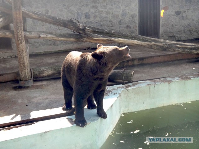 Иногда вот так вот ВНЕЗАПНО