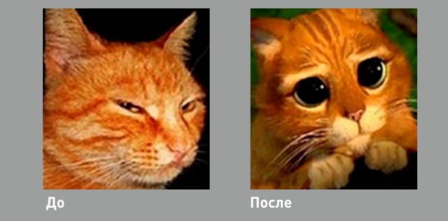 Революция в смартфонах-2015