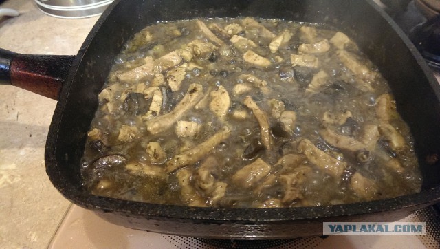 Драники в горшочках с мясом и грибами.