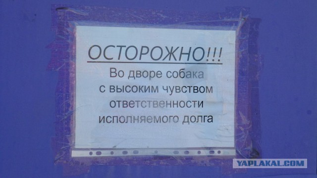 Когда корявые надписи на стенах смотрят в душу