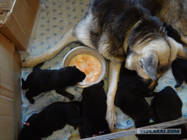 Где захотелось-там и уснулось