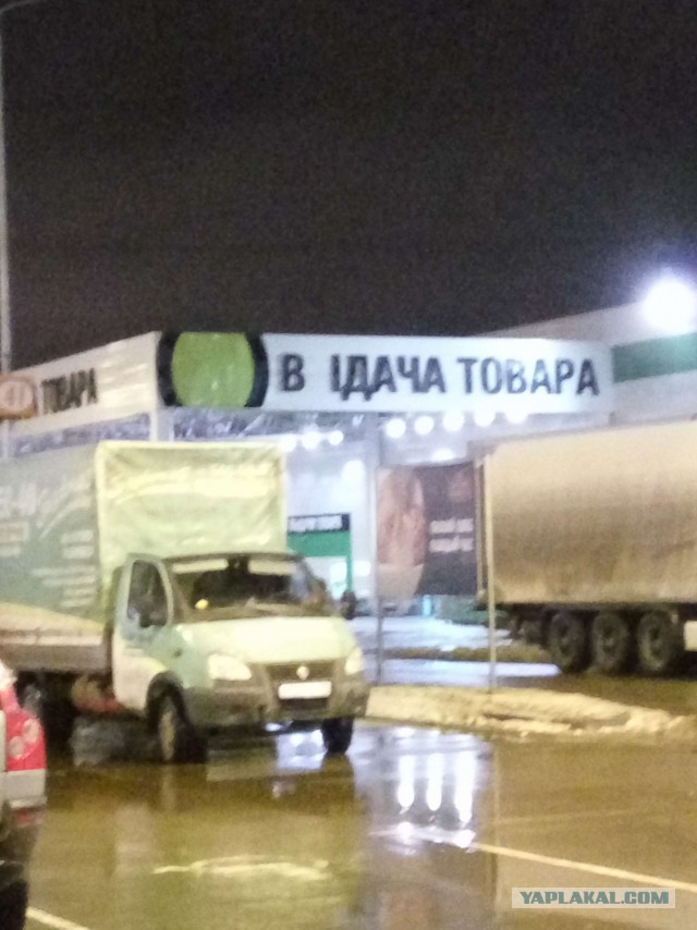 Забавные картинки из Сети