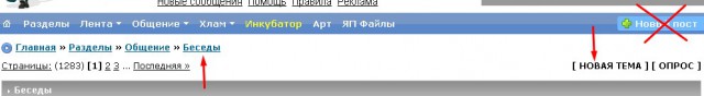 А как ты попал на ЯПъ