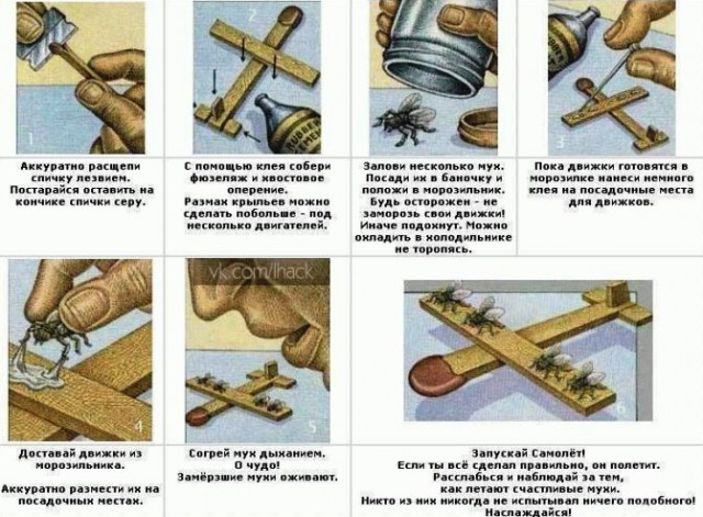 Весёлые картинки