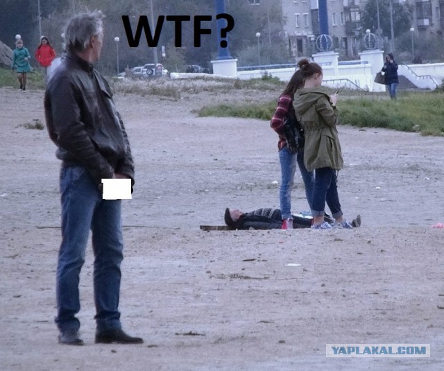 Свежая, утренняя, подборка картинок.