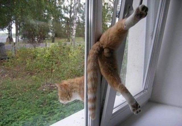 Неприятности случаются