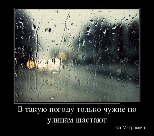 Смешные картинки с надписями