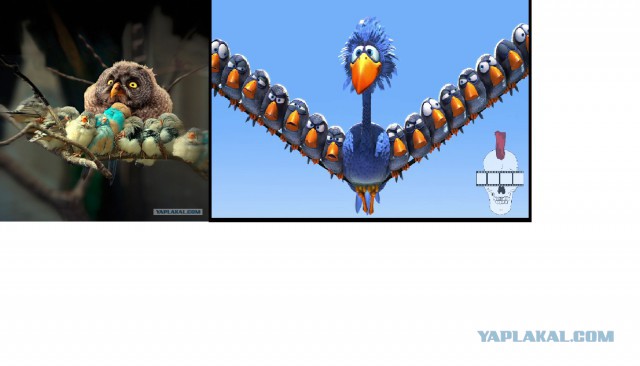 Подборка интересных и веселых картинок